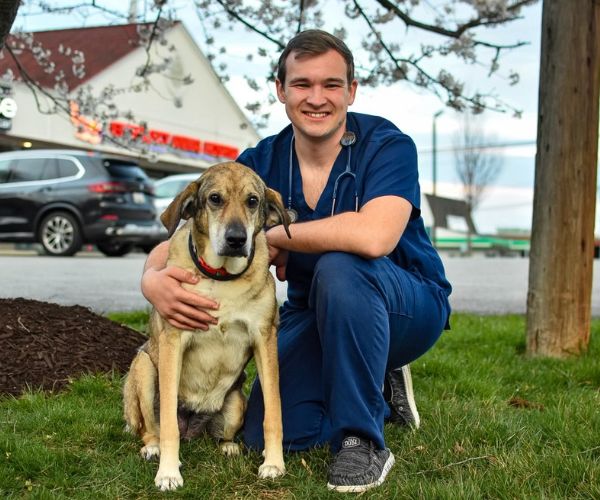 Shops emergency animal vet